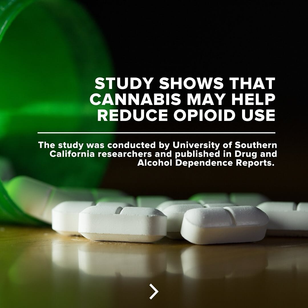 Study shows that cannabis may help reduce opioid use.