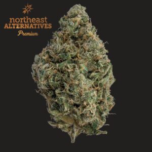Durban Poison Flower | 3.5g | NEA Premium