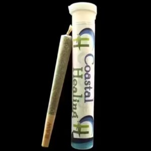 Gorilla Glue #4 Preroll | 1g | Coastal Healing