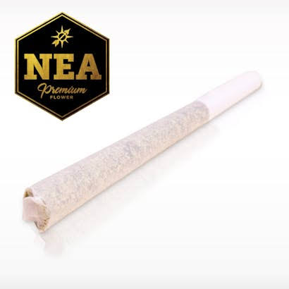 Mac V2 Preroll | 1g | NEA Premium