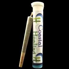 Dante's Inferno Preroll | 1g | Coastal Healing