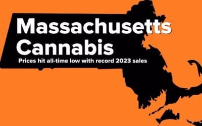 Massachusetts Cannabis price hits all-time low with record sales! #seedyourhead